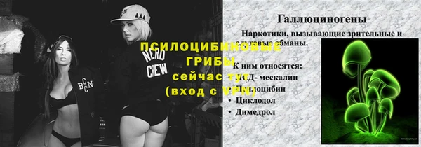 хмурый Липки