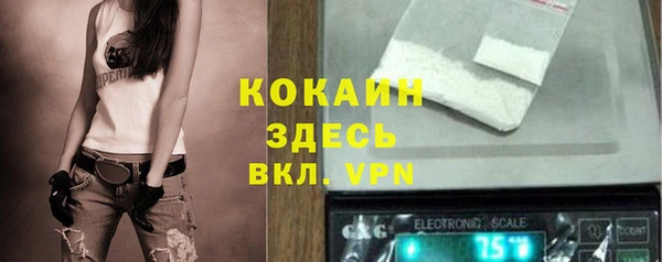 хмурый Липки